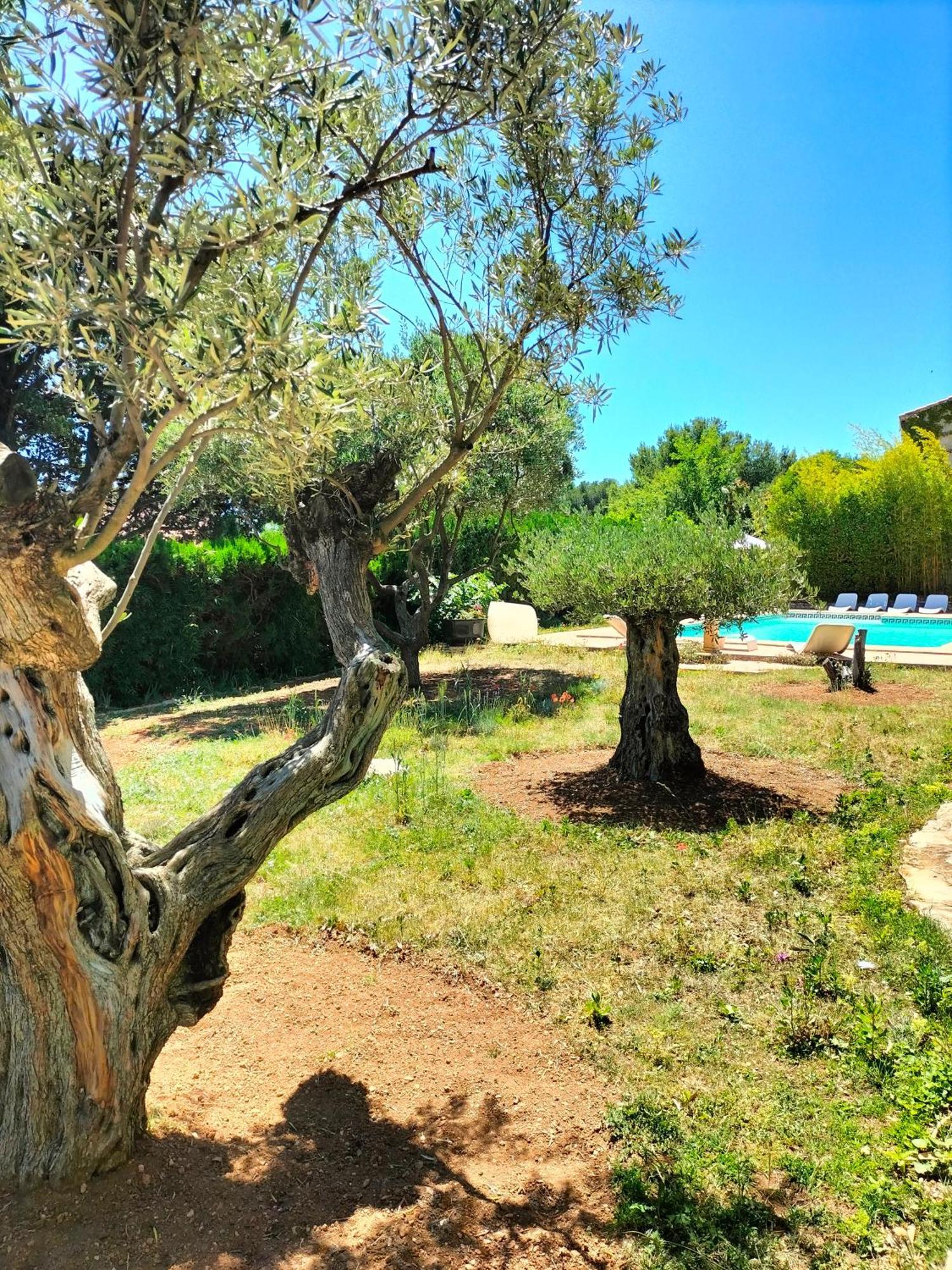 Vacances Carnoux-en-Provence Εξωτερικό φωτογραφία
