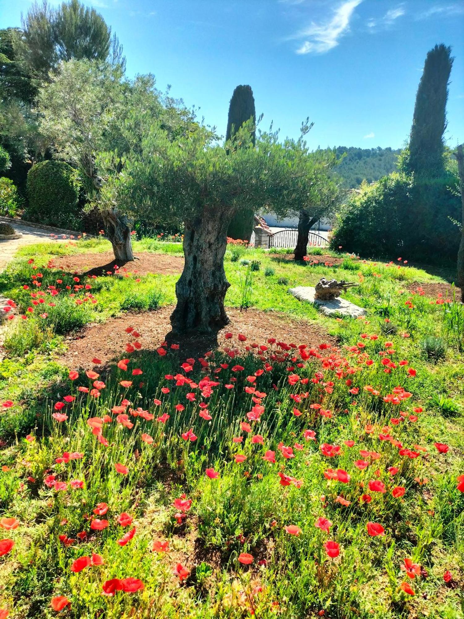 Vacances Carnoux-en-Provence Εξωτερικό φωτογραφία